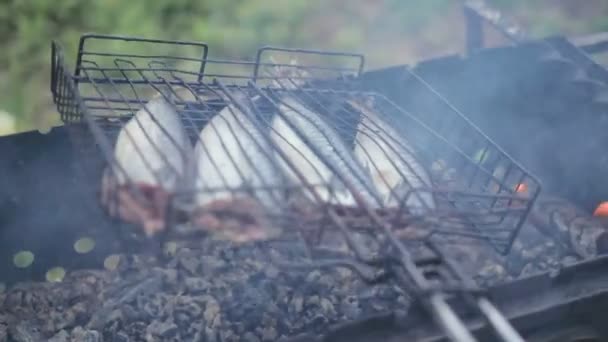 Fisk kokt på grillen — Stockvideo