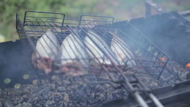 Pescado cocido en la parrilla — Vídeos de Stock