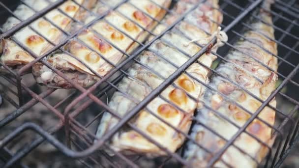 Fish cooked on the grill — Stock Video