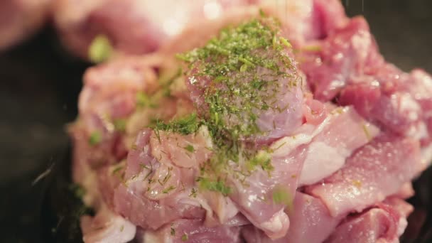 Condimento congelado se vierte en trozos de carne fresca, primer plano — Vídeos de Stock