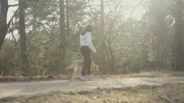 Дівчина з собакою, що йде в лісі — стокове відео
