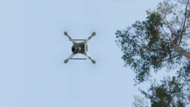 Quadcopter volando en el bosque — Vídeo de stock