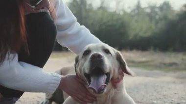 ormanda yürüyüş köpek ile kız