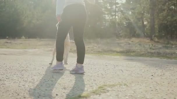 Chica con perro caminando en el bosque — Vídeos de Stock