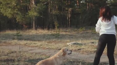 ormanda yürüyüş köpek ile kız