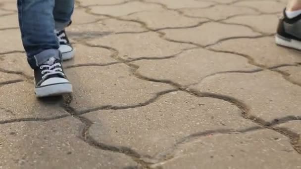 Paseo en familia por el parque — Vídeo de stock