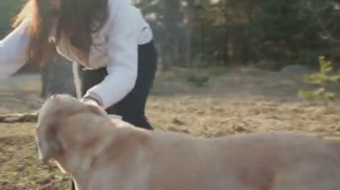 Güzel esmer ile bir altın renkli Labrador bahar ormanda yürür