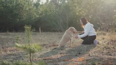 Bahar orman içinde a köpek ile yürümek