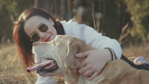 Bonita morena camina con un labrador de color dorado en el bosque de primavera — Vídeos de Stock