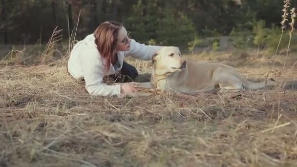 Bonita morena caminha com um Labrador de cor dourada na floresta da primavera — Vídeo de Stock