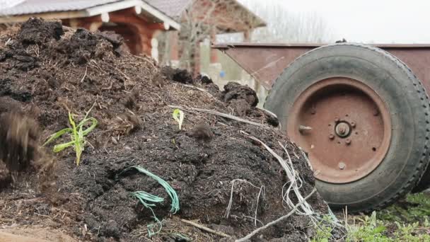 Man loads organic fertilizer in a wheelbarrow on his own farm. Manual labor — Stock Video