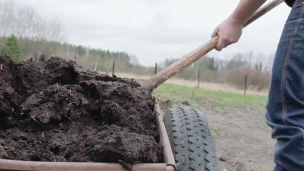 Man verspreidt organische meststof op zijn eigen boerderij. bodem meststof — Stockvideo