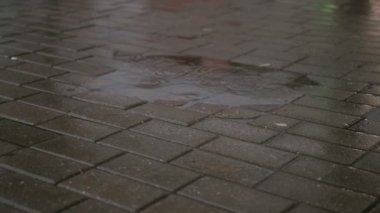 Yırtık kot pantolon ve beyaz spor ayakkabı kadın kaldırımda bir su birikintisi içine atlar