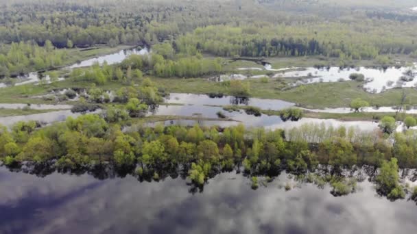 Vue aérienne de la forêt et du fleuve. Le ciel se reflète dans l'eau. les prairies inondables. Images aériennes 