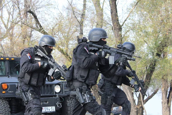Belgrad Serbia Listopada 2015 Operatorów Serbski Żandarmerii Belgradzie Oddział Specjalistyczne — Zdjęcie stockowe