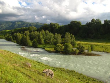 Doğal Çungar Alatau Milli Parkı Kazakistan'daki nehirde kaba