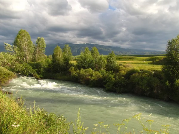 Parco nazionale naturale Jungar Alatau in Kazakistan — Foto Stock