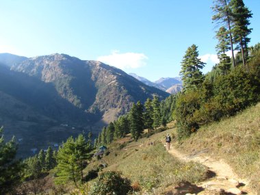 Bir gezgin bir dağ izinde