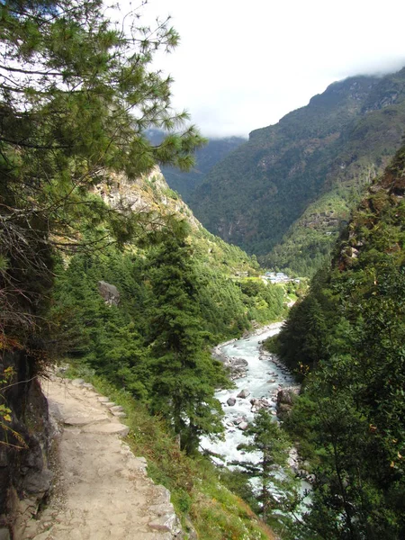 Mountain river gorge — Stock Photo, Image