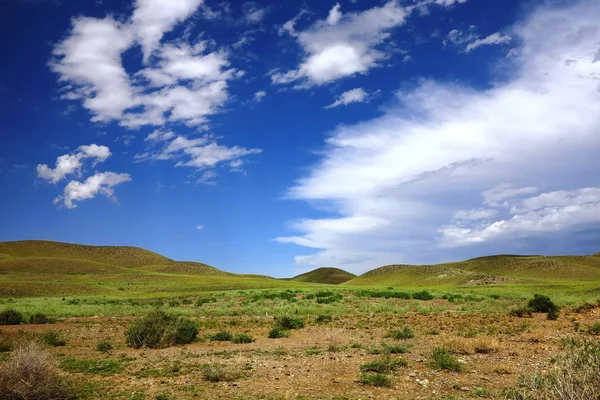 Milli Parkı Kazakistan bozkırlarında