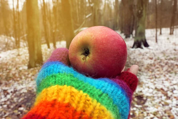 red ripe apple in a hand in a rainbow glove