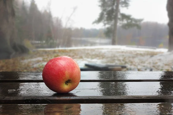 Apple op natte planken tegen de achtergrond van het meer — Stockfoto