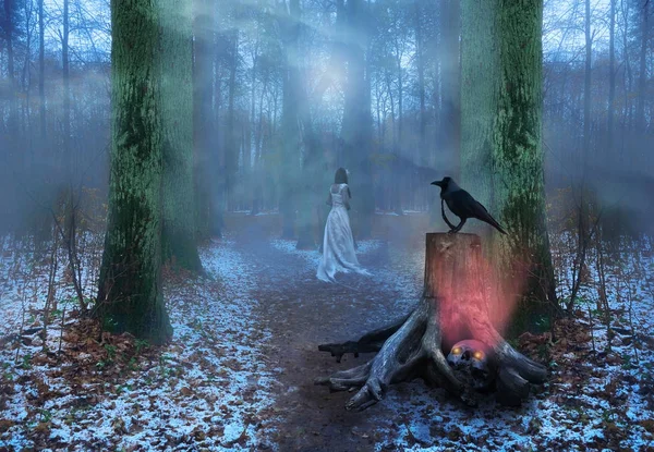 Misty Enchanted forest parlayan gözleri olan bir kafatası ile 