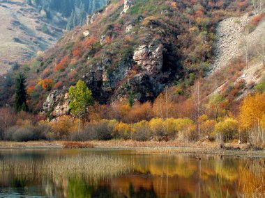 güzel dağ gölü sararmış orman yansıması ile 
