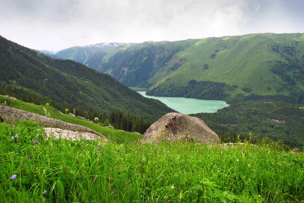 Kék tó, hegyek, rétek és erdők között — Stock Fotó