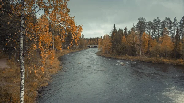 Steinbrücke Und Fluss Herbst Schweden Bei Trübem Wetter — Stockfoto
