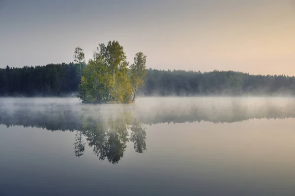 湖中的一个小岛在晨雾中的森林边 — 图库照片