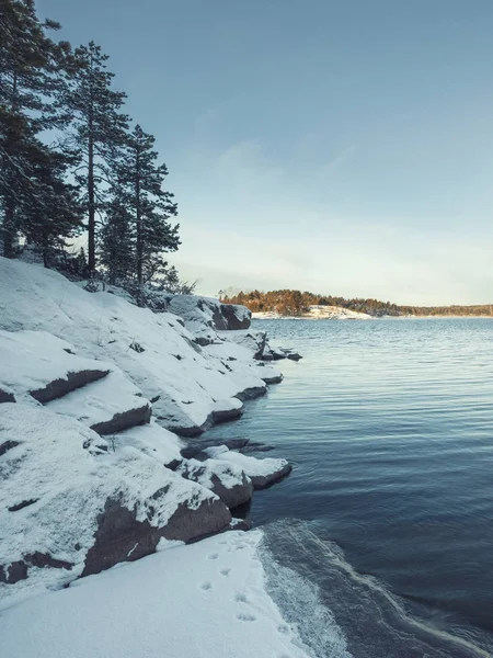 Abeto Neve Uma Costa Rochosa Lago Ladoga República Carélia — Fotografia de Stock
