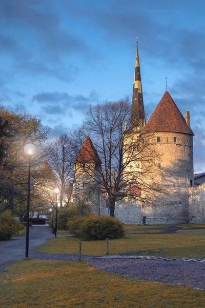 Церква Вежа Святого Олафа Вежа Старого Замку Таллінні Естонія Увечері — стокове фото