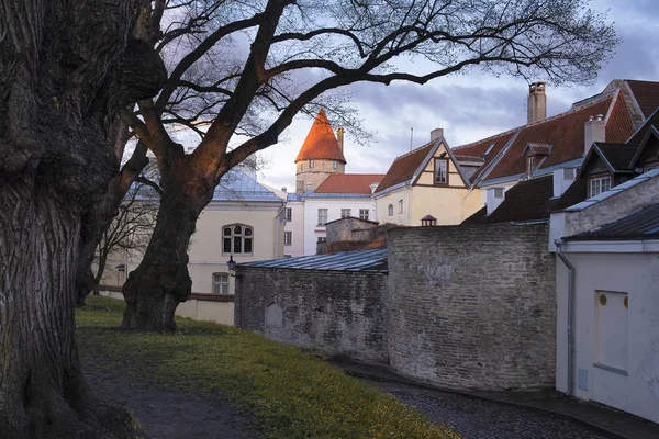 Tallinn Hoofdstad Van Estland Het Uitzicht Het Historische Centrum Van — Stockfoto