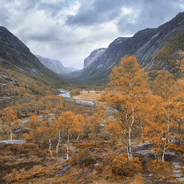 Драматична Ландшафтна Долина Річки Мен Провінції Рогаланд Норвегії Восени Хмарну — стокове фото