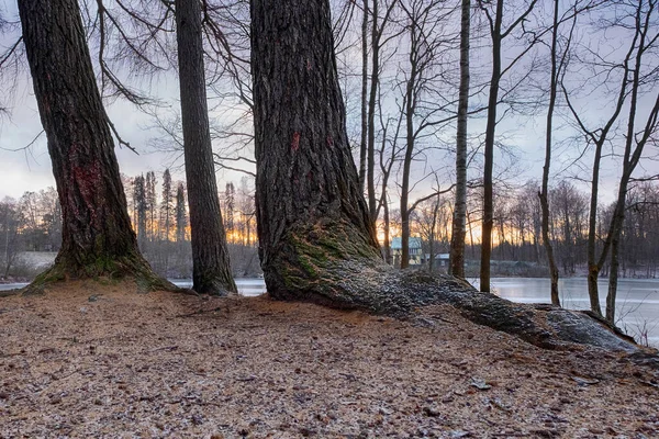 Paysage Magique Noël Petite Maison Bord Une Forêt Près Lac — Photo