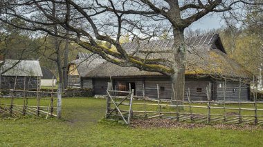 8 Mayıs 2019 Tallinn şehri Estonya. Açık havada etnografik müze. Köyde ormanın arka planına karşı geleneksel ahşap ahşap ev