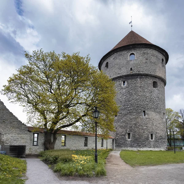 Tallinn Stad Estland Een Oud Kasteel Met Torens Omringt Het — Stockfoto