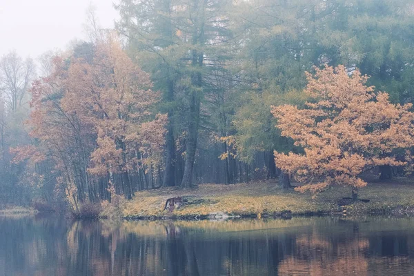 Forêt Automne Bord Lac Dans Brouillard Bleu — Photo