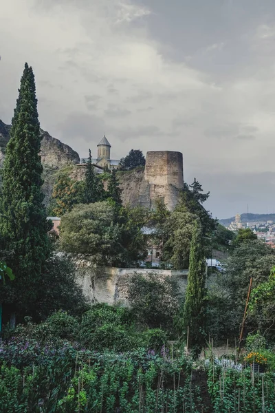 Pohled Pevnost Narikala Botanické Zahrady Městě Tbilisi Georgia Začátku Podzimu — Stock fotografie