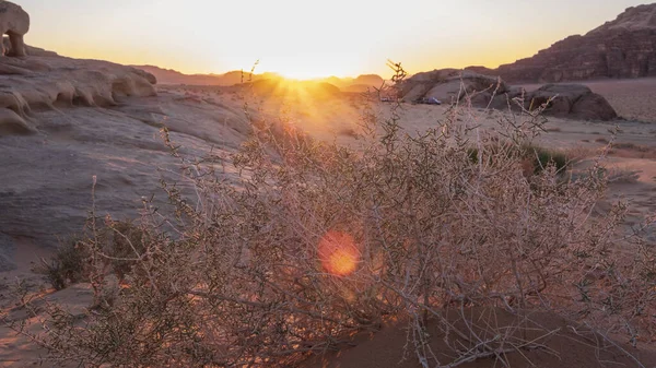 Пустеля Ваді Рам Сансет Яка Протікає Через Густі Сухі Кущі — стокове фото