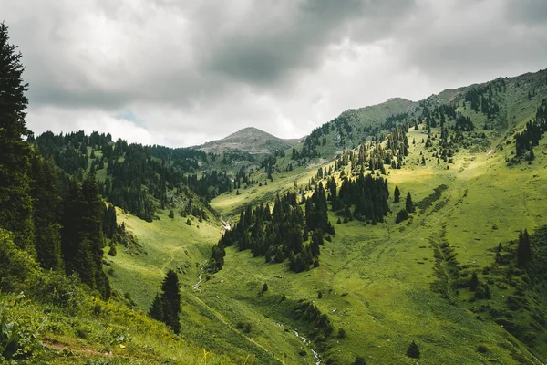 Paisagem Montanhosa Com Floresta Abeto Tempo Nublado Almaty Cazaquistão Cume — Fotografia de Stock