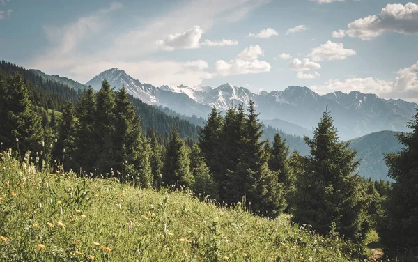 Panoramic Mountain Forest Views Snowy Peaks Mountains Kahastan — Stock Photo, Image