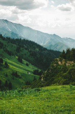 Dağlardaki ormandaki küçük kulübe. 