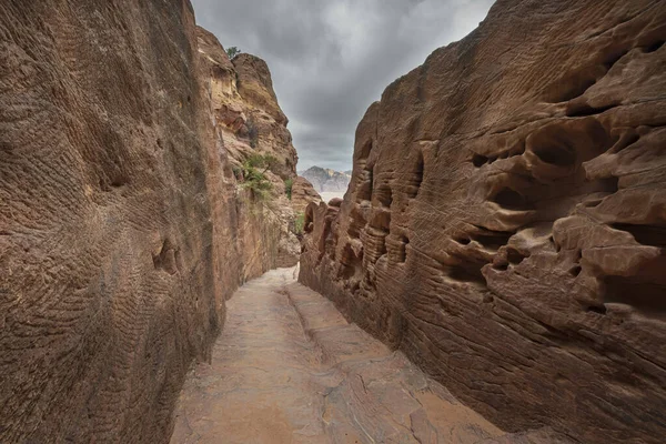 Petra Jordan Kapea Tunneli Polku Veistetty Punaisiksi Kiviksi Kuivalla Vuorella — kuvapankkivalokuva