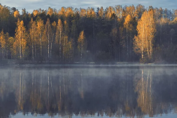 Beau Paysage Ensoleillé Lac Brumeux Dans Une Forêt Bouleaux Automne — Photo