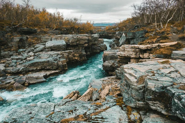 İsveç 'in kutup bölgesinde Abisko Milli Parkı' nın kanyonundan akan engebeli nehir, altın sonbaharda dağların arka planına karşı.