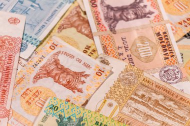 Moldova zambağı. Mdl banknotları