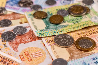 Moldova zambağı. Banknotlar ve madeni paralar