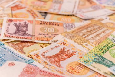 Moldova zambağı. Mdl banknotları